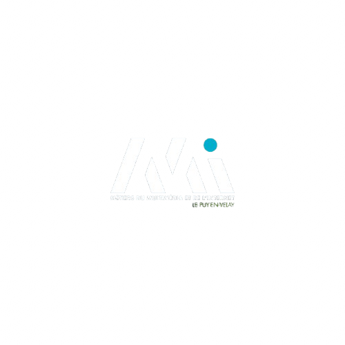 Logo MMI